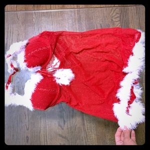 Sexy Santa outfit.